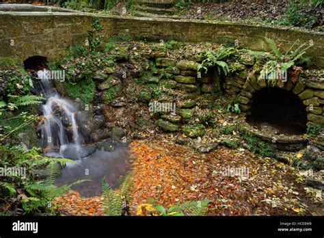 Uksomersetyeovilyeovil Country Parkninesprings Waterfall Stock