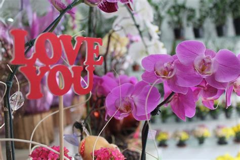 DIA DOS NAMORADOS Motéis e sex shops devem ter movimento maior Vvale