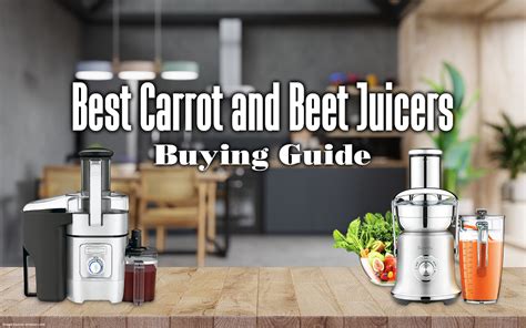 Best Carrot And Beet Juicers Buying Guide Blender Advisors