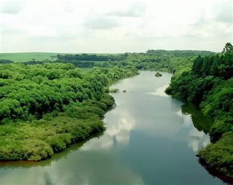 Para Que Servem Os Rios - A importância de preservar os rios - Litoral Engenharia