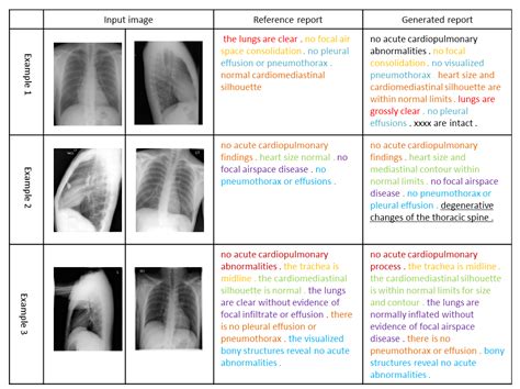 Medical reports explain the data behind the latest md deaths 1