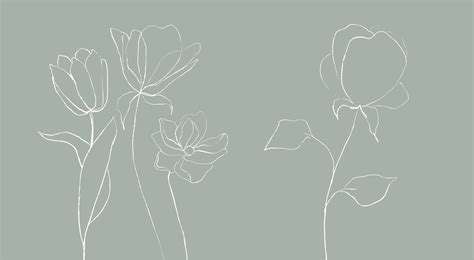 Sage Green Minimalist Wallpapers - 4k, HD Sage Green Minimalist