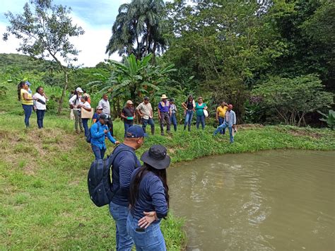 Productores veragüenses se capacitan sobre prácticas de manejo