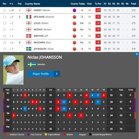 Här är svenskarna som gick vidare i ET kvalet