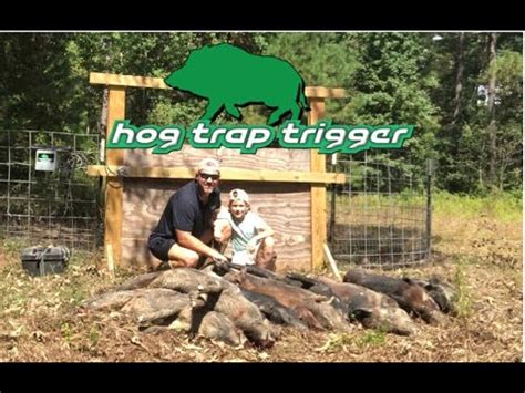 HOG TRAP TRIGGER CAUGHT TEN HOGS IN ONE DROP YouTube