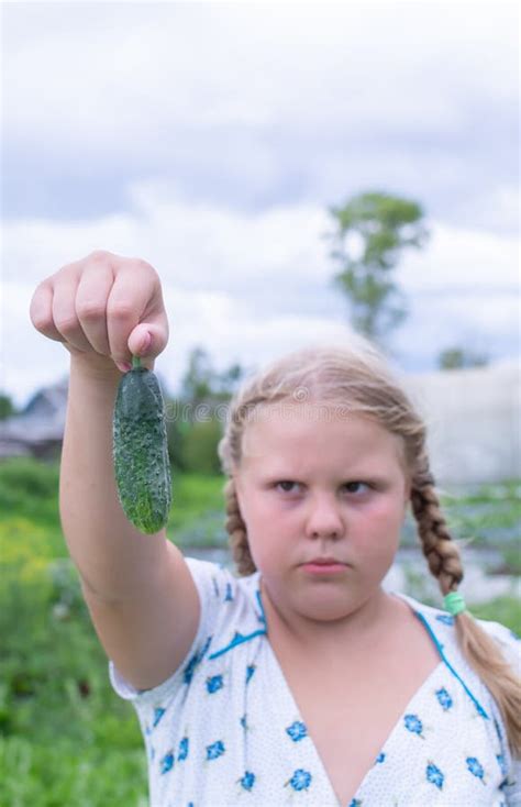 At The Dacha A Girl Holds Fresh Green Cucumbers In Her Hands Stock