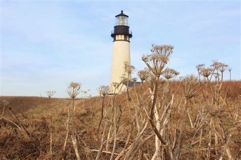 Sidewalk ain't for fancy walkin: The Lighthouse from "The Ring"