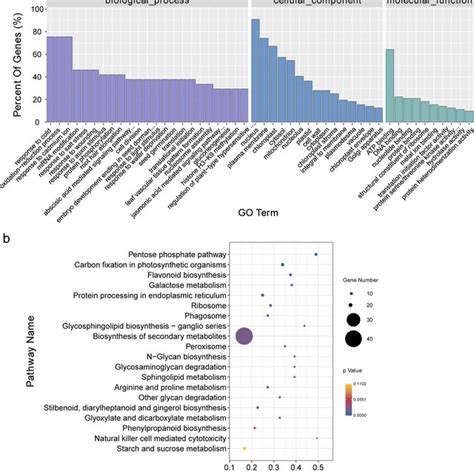 Gene functional classification of identified target genes. a Gene ...