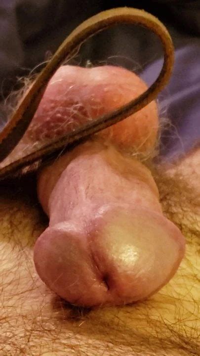 Beat My Cock Gay Porn XHamster