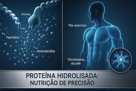 Para Que Serve A Proteina No Corpo - Proteína Hidrolisada para que serve? Esse suplemento proteico » Tudo ...