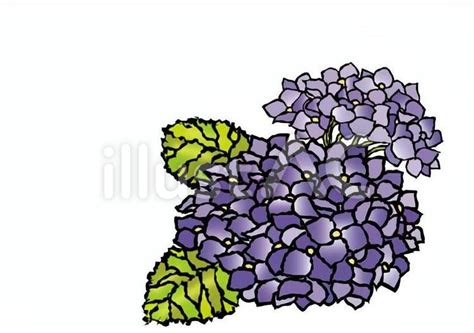 切り紙細工風紫陽花イラスト - No: 1117271｜無料イラスト・フリー素材なら「イラストAC」