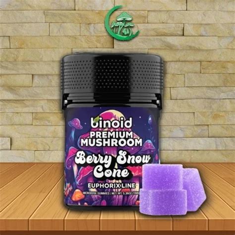 Binoid Euphorix Blend Microdose Magic Mushroom Gummies 20ct Great