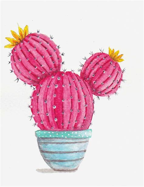 Cacti Watercolor On Behance