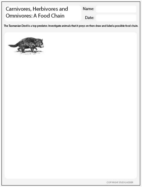 Food Chains: Top Predator- Tasmanian Devil - Studyladder Interactive