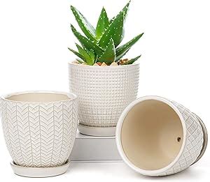 Oairse Blumentopf Keramik Pflanzt Pfe Set Runde Succulent Topf