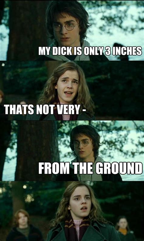 Horny Harry Image Gallery List View Know Your Meme