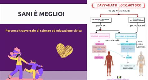 Fare Scienze In Quinta 5 Apparato Digerente E Locomotore Per Fare