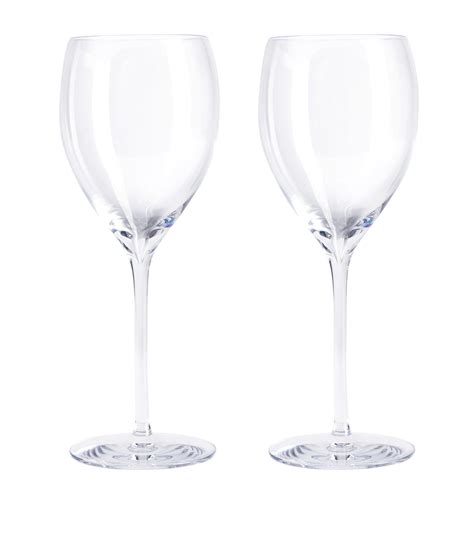 Elegance Sauvignon Blanc Wine Glass (Set of 2)