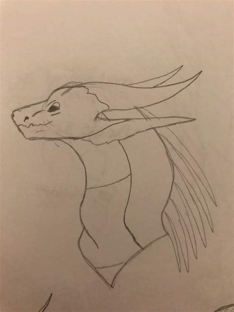 50 Ac Sketch Headshots Wings Of Fire Amino