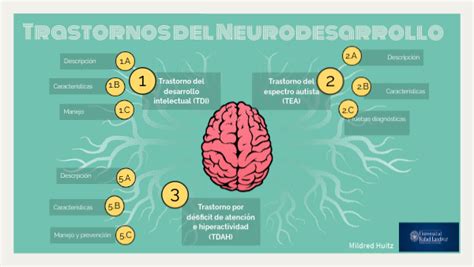 Trastornos Del Neurodesarrollo