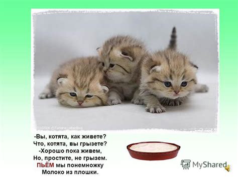 Презентация на тему: "Как живете? Владимир Степанов -Кони, кони, как ...