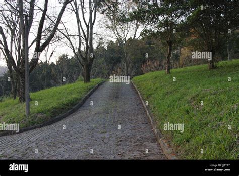 Road São Paulo Brazil Stock Photo Alamy