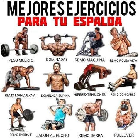 Mejores Ejercicios De Espalda Gym Workoutmotivation