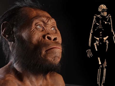 20 Archaeological Finds That Rewrote History - History Collection