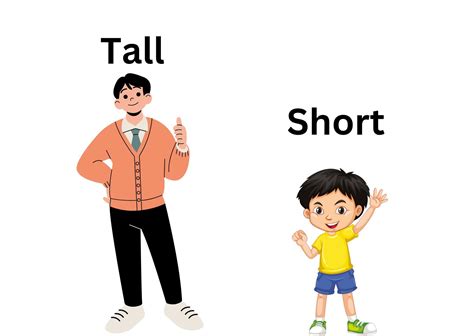 Tall And Short Short Person Short People Person Cartoon