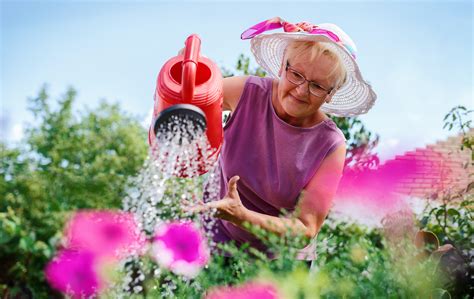 8 Fun Outdoor Hobbies for Seniors | Companion Care Blog