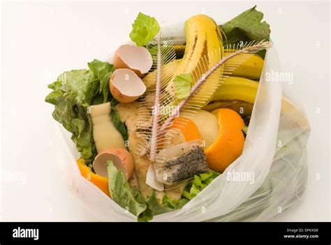 Biodegradable Waste Stock Photos & Biodegradable Waste Stock Images - Alamy