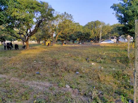 Residential Plot Sq Yards For Sale In Prem Nagar Dehradun