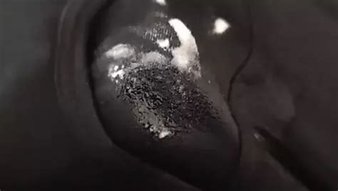 Intense Male Orgasm Gay Porn Creator Videos Free Amateur Nudes Xhamster