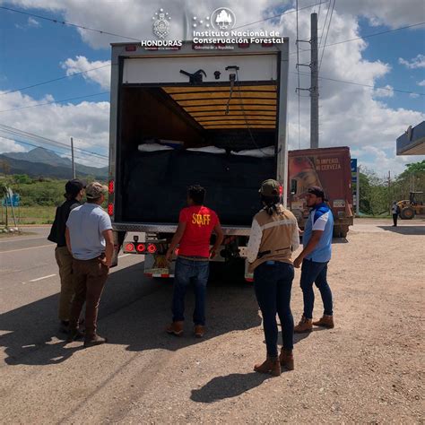 Icf On Twitter Operativos En Contra De Delitos Forestales Y De