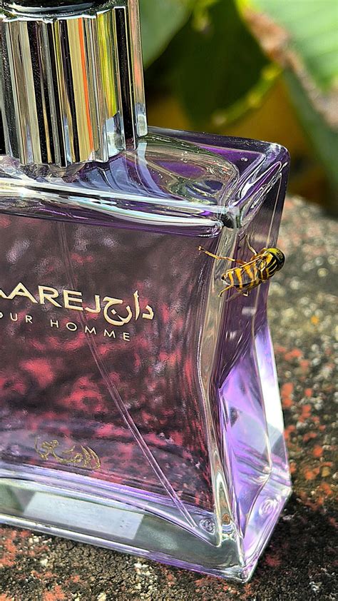 Daarej pour Homme Rasasi cologne - a fragrance for men