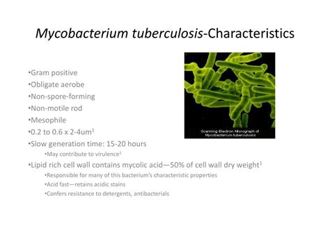 Ppt Mycobacterium Tuberculosis Characteristics Powerpoint