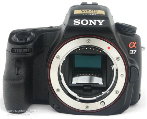 Sony SLT-A37 — зеркалка с видео для начинающих / Фото и видео