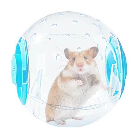 Dwarf Hamster Ball