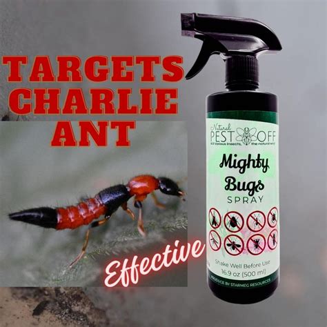 pestoff mighty bugs spray kill charlie ant bunuh semut charlie fast