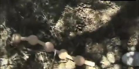 Lorissa Mccomas Lesbian Breasts Scene In The Bare Wench Project Tnaflix