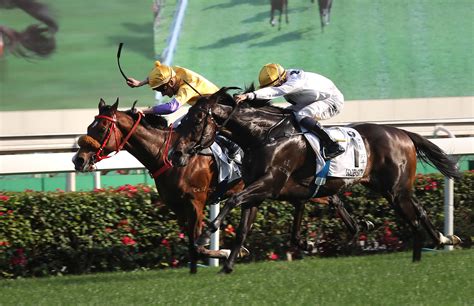 Golden glory for Ho and Lui in BMW Hong Kong Derby | NZ Racing News