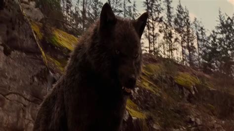 ЖЕВОДАНСКИЙ ЗВЕРЬ - YouTube