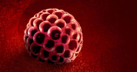 implantation bleeding color brown 5