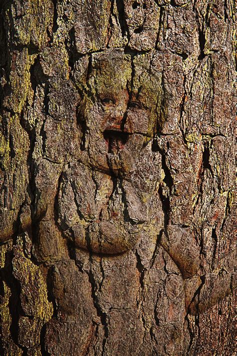 Naked Wood Nymph Digital Art By John Haldane Pixels