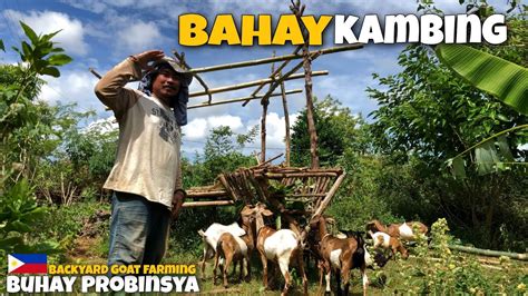 Tuloy Pa Rin Sa Pag Gawa Ng Bahay Kambing Backyard Goat Farming