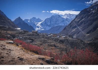 samdo images stock  vectors shutterstock