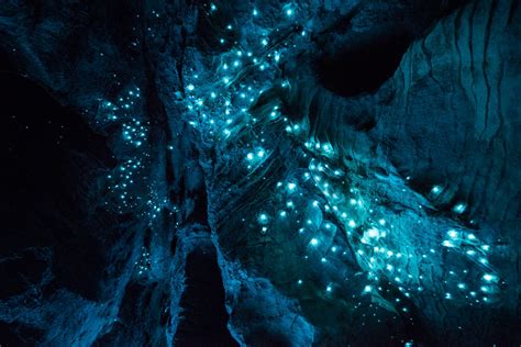 Ah Ying Eh Blog 阿盈的部落 Waitomo Glow Worm Cave