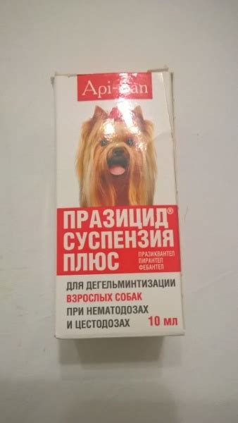 Антигельминтики Api-San Комплексный препарат против глистов у взрослых ...