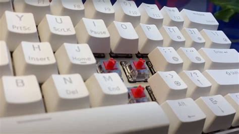 Rk Royal Kludge Rk Test Complet Et Avis Sur Ce Clavier M Canique