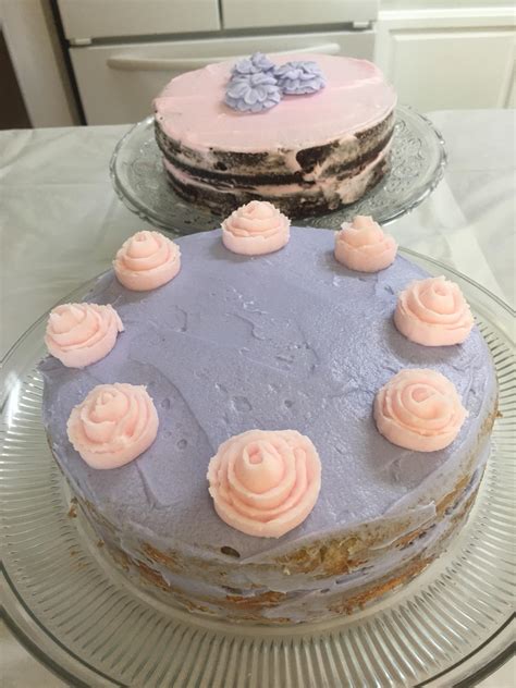Naked Cakes I Made For My Daughters Birthday Party R Cakedecorating